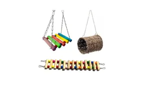 3 Piece Bird Parrot Toys