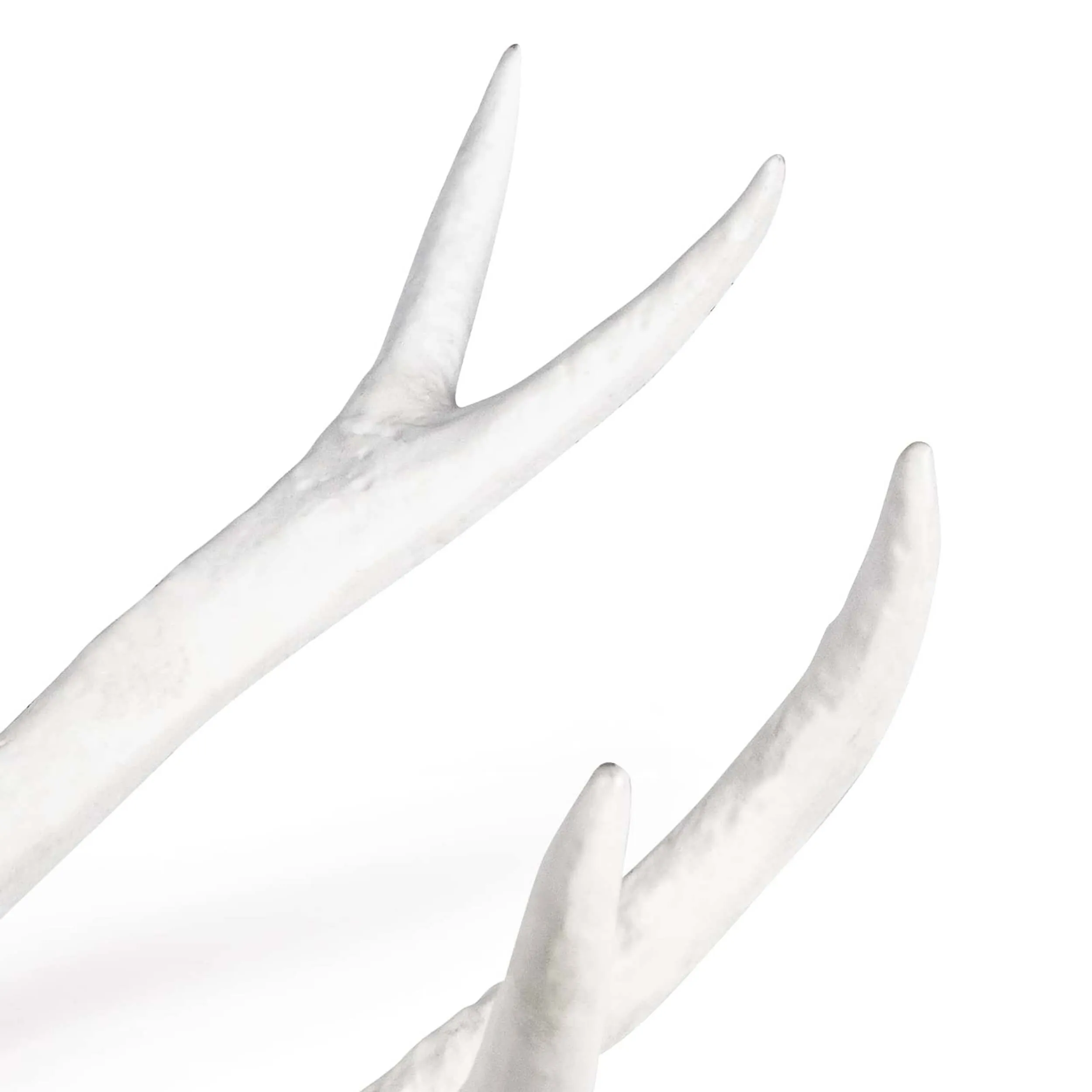 Antler Object, White