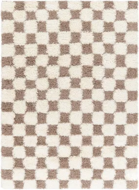 Bondurant Shag Area Rug for Living Room Bedroom or Kitchen