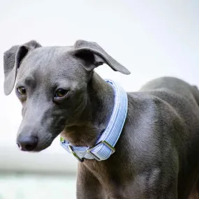 Halsband für Hunde "Reviera Bleu"